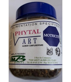 JPHYTART-PHYTAL ART