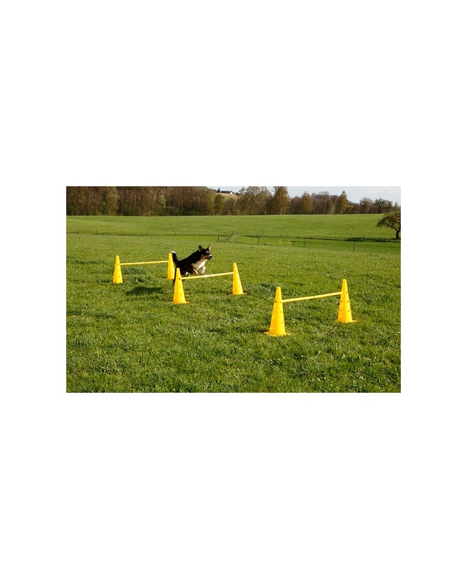 HENGMEI Agility Kit D'entraînement Pour Chiens De Grande Taille Avec