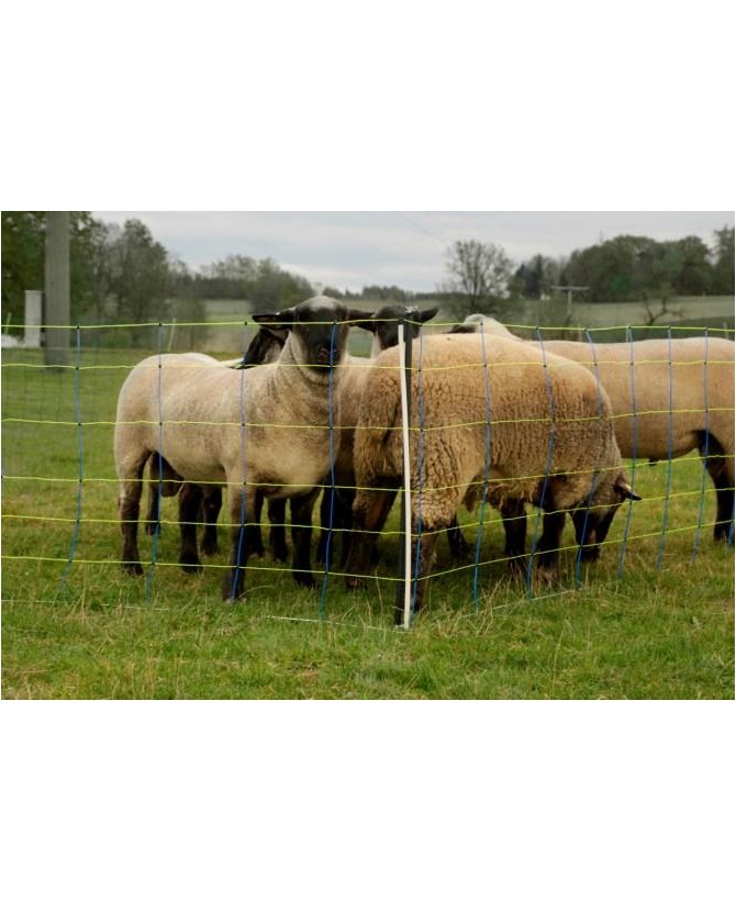 Filet Titan Pro Net 50 m électrifiable pour Mouton
