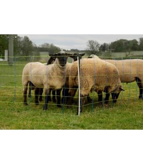 Filet Titan Pro Net 50 m électrifiable pour Mouton