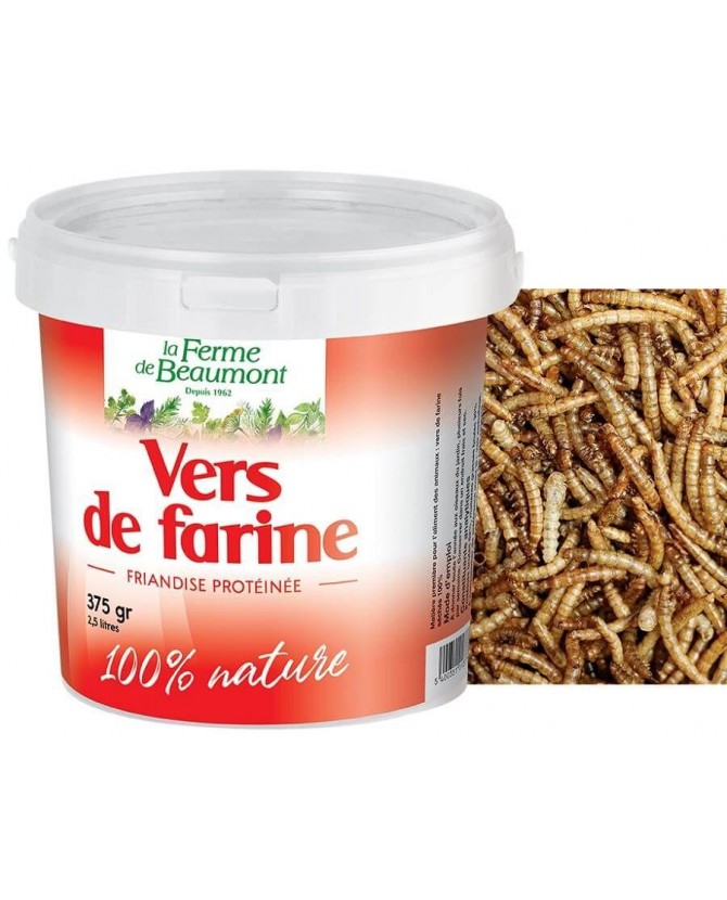 Magalli - Vers de farine Déshydratés Bon'Bec Insectes pour Poules - 1kg