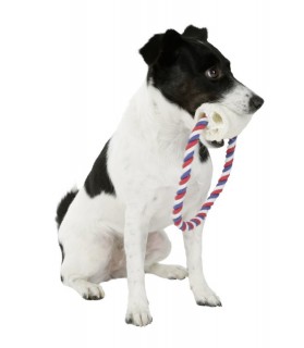 Jouet Rouleau avec corde Luffa pour chien