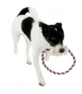 Jouet Rouleau avec corde Luffa pour chien