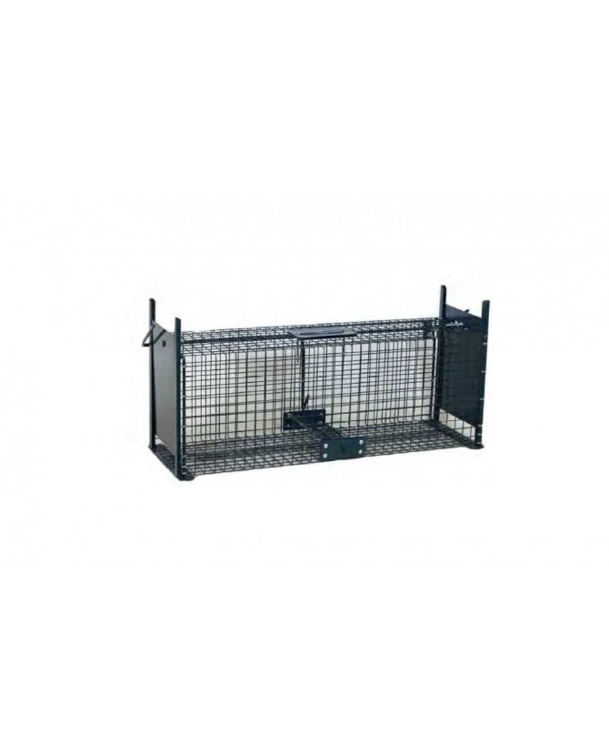 Cage piège pour rats