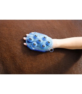 Étrille de massage bleue pour Cheval