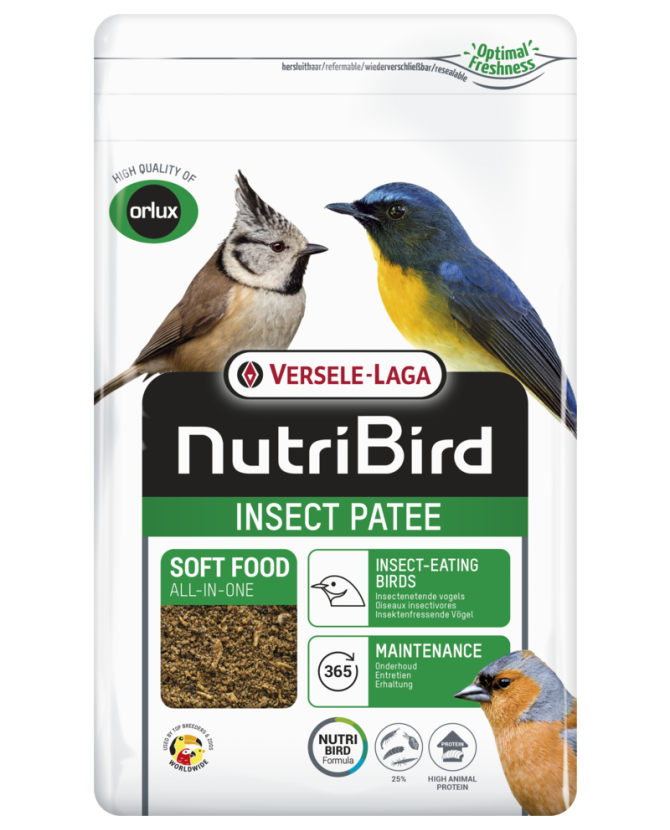 Pâtée 25% d'insectes pour Oiseau Insectivore x 1 kg