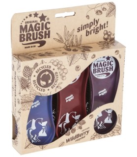 Brosse le kit MagicBrush Wildberry Recycled pour Cheval