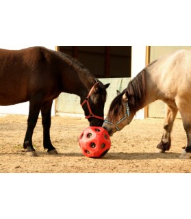 Étrille Flex3 à dos flexible pour chevaux et poneys
