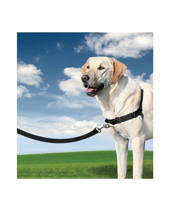 Harnais Easy Walk® conçu pour décourager de tirer sur la laisse lors des promenades Taille L pour chien