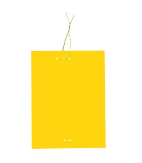 Piége collant anti-insecte "plaque jaune" x 6