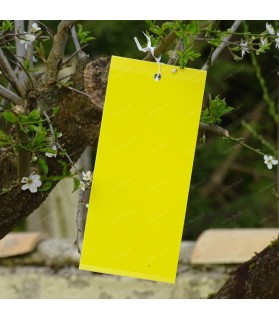 Piége collant anti-insecte "plaque jaune" x 6
