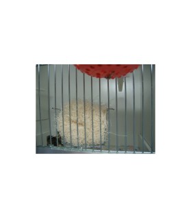 Bourre nid Sharpi de coton BEVO x 150 g pour Oiseau