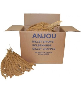K140185925-Millet grappe jaune d Anjou 25kg