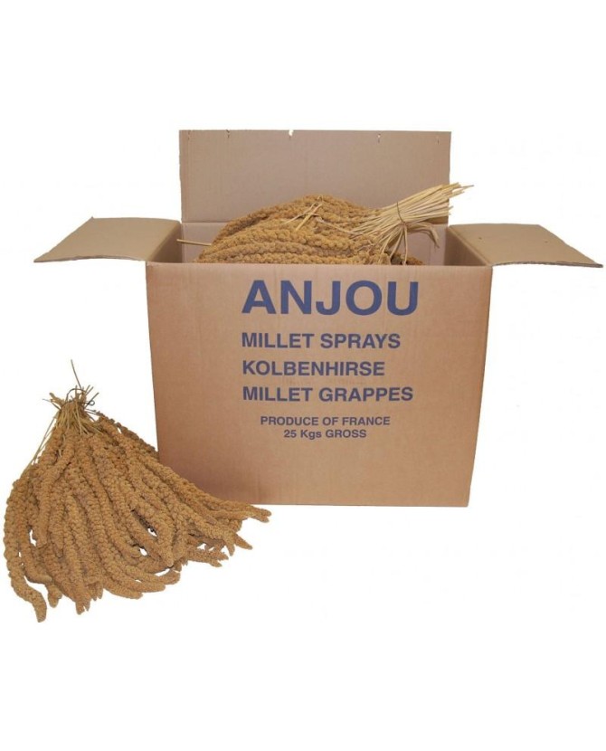 K140185925-Millet grappe jaune d Anjou 25kg