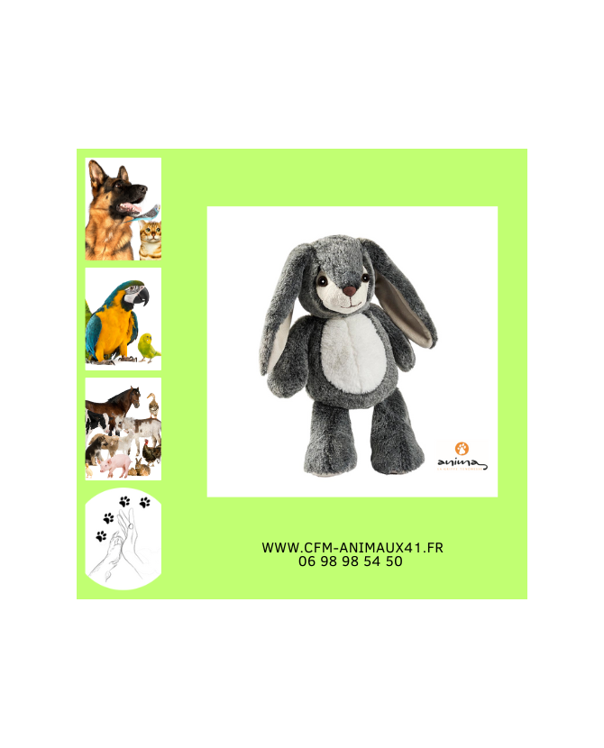 Peluche Lapin Doo Pantin ANIMA toute douce Haut 35 cm CFM Animaux 41 à Conan 41290