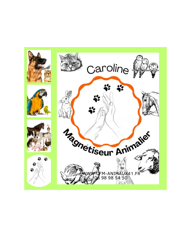 Caroline Magnétiseur Animalier Conan 41290 Bien-être Soulage Chien Chat Cheval Mouton Chèvre Volaille Poule Oiseau et autres