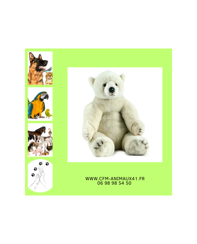 Peluche Ours Polaire Assis ANIMA Haut 70 cm Cadeau plaisir d'offrir Noël Anniversaire Naissance Bébé Enfant Doudou Calin