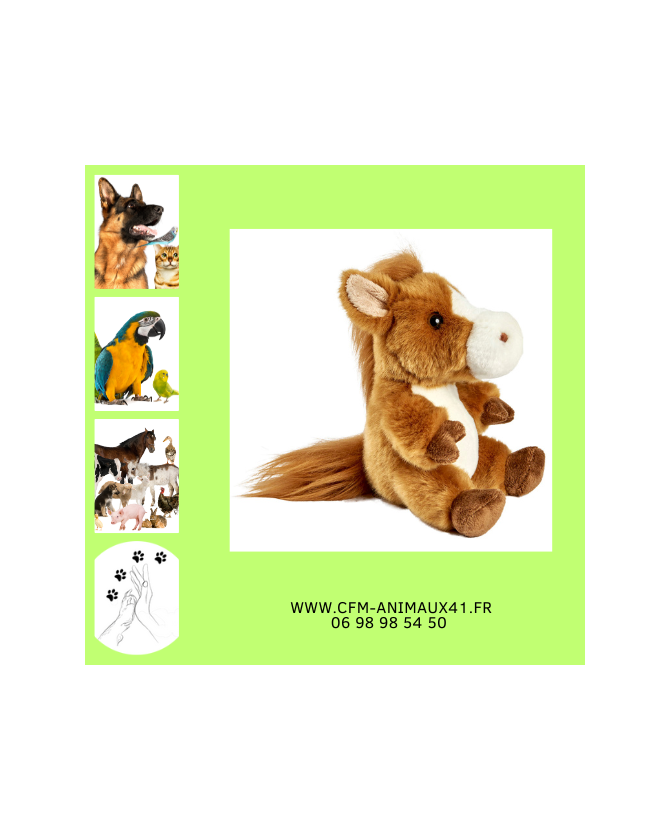 Peluche Cheval Têtabizous ANIMA Haut 17 cm  Cadeau plaisir d'offrir Noël Anniversaire Naissance Bébé Enfant Doudou Calin