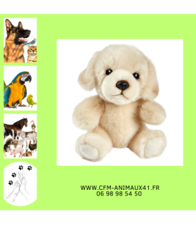 Peluche Chien Labrador Têtabizous ANIMA Haut 17 cm  Cadeau plaisir d'offrir Noël Anniversaire Naissance Bébé Enfant Doudou Calin