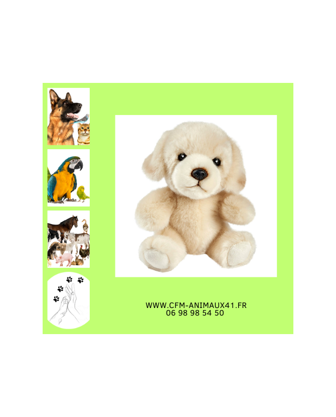 Peluche Chien Labrador Têtabizous ANIMA Haut 17 cm  Cadeau plaisir d'offrir Noël Anniversaire Naissance Bébé Enfant Doudou Calin