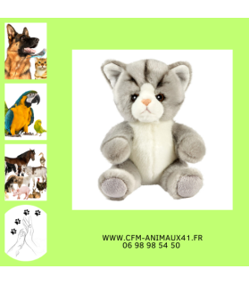 Peluche Chat gris et blanc Têtabizous ANIMA 17 cm  Cadeau plaisir d'offrir Noël Anniversaire Naissance Bébé Enfant Doudou Calin