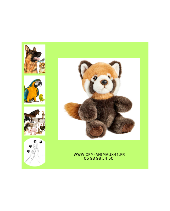 Peluche Panda Roux  Têtabizous ANIMA Haut 17 cm  Cadeau plaisir d'offrir Noël Anniversaire Naissance Bébé Enfant Doudou Calin