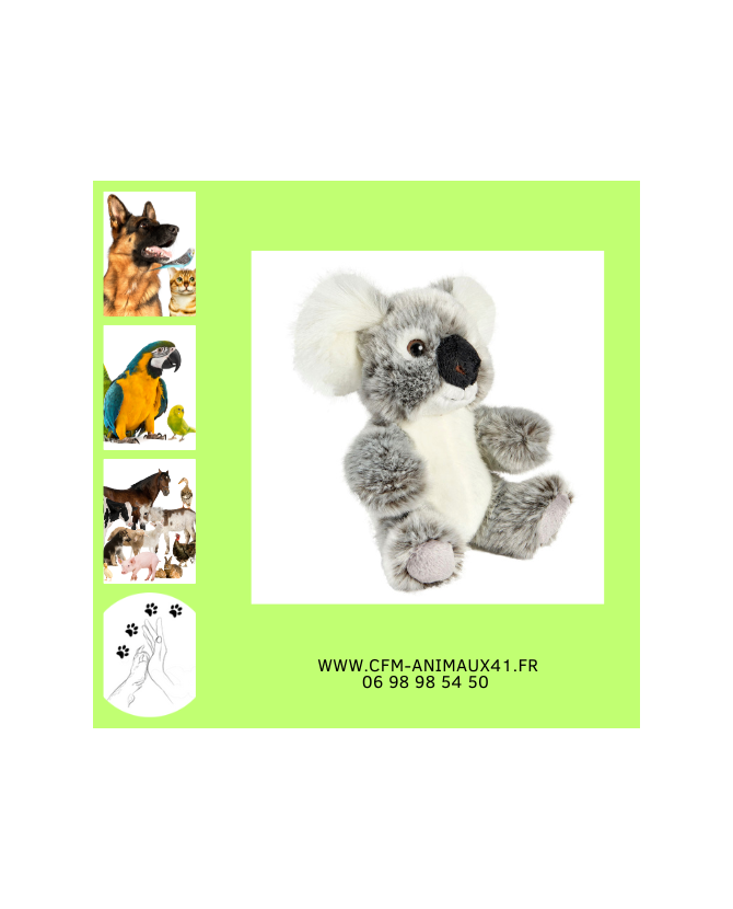 Peluche Koala Têtabizous ANIMA Haut 17 cm  Cadeau plaisir d'offrir Noël Anniversaire Naissance Bébé Enfant Doudou Calin