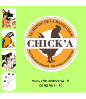 Mangeoire en métal 1 compartiment pour Lapin CFM Animaux 41 à Conan 41290
