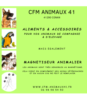 Brosse jaune universelle PET+ME nettoie masse brosse et caresse pour Chien et Chat CFM Animaux 41 à Conan 41290