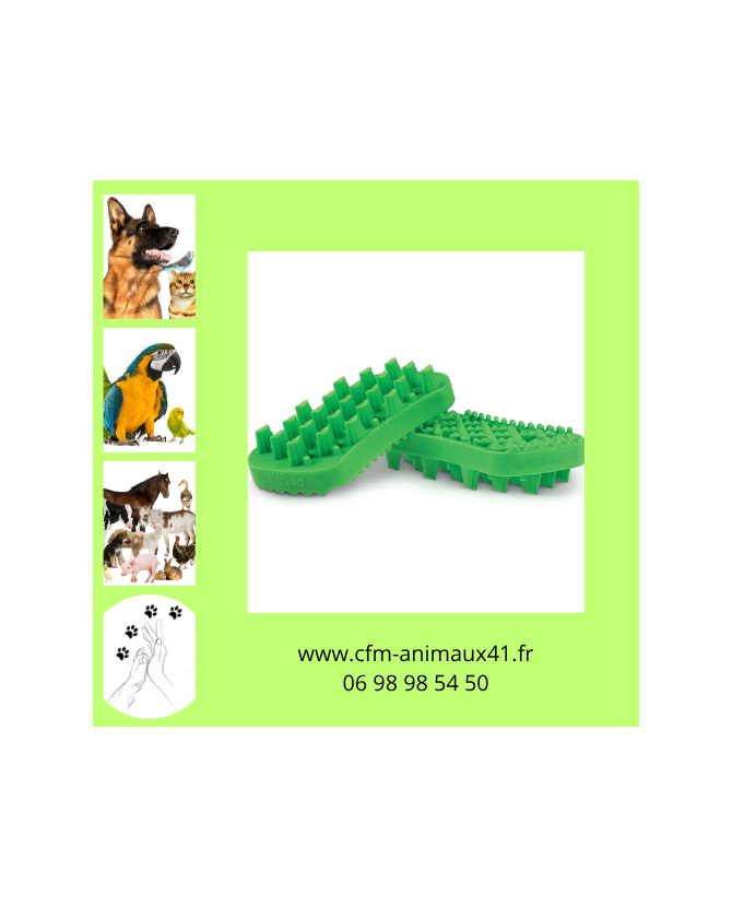 Brosse verte universelle PET+ME nettoie masse brosse et caresse pour Chien et Chat CFM Animaux 41 à Conan 41290