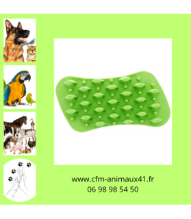 Brosse verte universelle PET+ME nettoie masse brosse et caresse pour Chien et Chat CFM Animaux 41 à Conan 41290