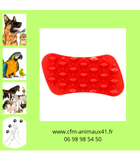 Brosse rouge universelle PET+ME nettoie masse brosse et caresse pour Chien et Chat CFM Animaux 41 à Conan 41290