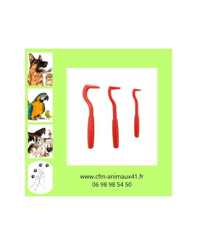 Tire-tiques PURALIA pour Chien Chat x 3 CFM Animaux 41 à Conan 41290