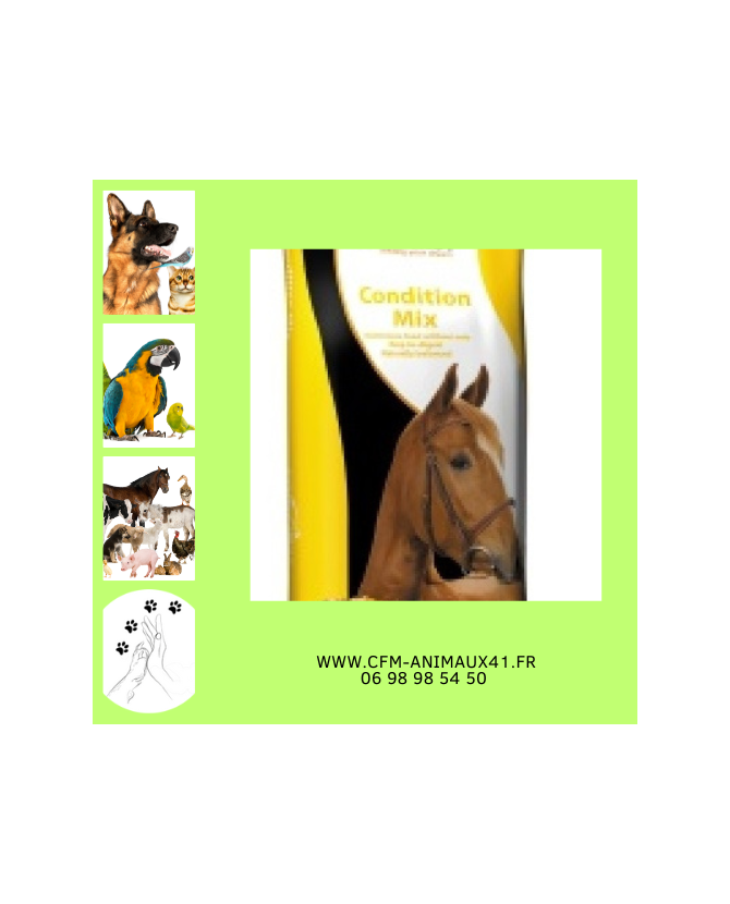 Aliment Floconné EQUIFIRST Condition Mix pour Cheval et Poney x 20 kg CFM Animaux 41 à Conan Aliment Floconné EQUIFIRST Condition Mix pour Cheval et Poney x 20 kg CFM Animaux 41 à Conan