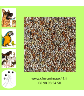 Exotique Mélange de graines JMB Elite x 20 kg CFM Animaux 41 à Conan 41290