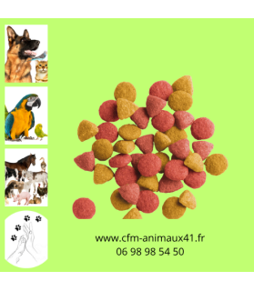 Croquette Chat Stérilisé au Poulet VL x 10 kg CFM Animaux 41 à Conan 41290