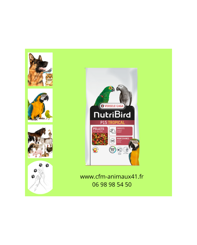 Perroquet Nutribird P15 Tropical Entretien VL x 3 kg CFM Animaux 41 à Conan 41290