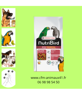 Perroquet Nutribird P15 Tropical Entretien VL x 3 kg CFM Animaux 41 à Conan 41290