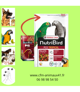 Perroquet Nutribird P15 Tropical Entretien VL x 3 kg CFM Animaux 41 à Conan 41290
