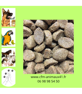 Croquette JMB Energy 30/20 Chien Activité Soutenue Gestation Lactation x 20 kg CFM Animaux 41 à Conan 41290