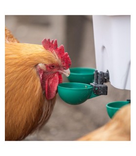Abreuvoir AviAqua 8L + 3 gobelets pivotants pour Volaille CFM Animaux 41 à Conan 41290