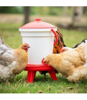 Abreuvoir seau à anse blanc et rouge 18 L sur pieds pour Volaille CFM Animaux 41 à Conan