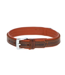 Collier cuir grande qualité cou 41 - 47 cm pour Chien - CFM Animaux 41 à Conan 41290