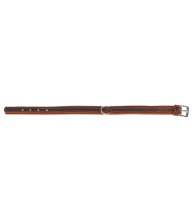 Collier cuir grande qualité cou 46 - 52 cm pour Chien - CFM Animaux 41 à Conan 41290