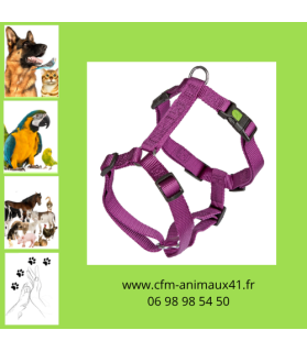 Harnais Miami violet 40 à 57 cm pour Chien CFM Animaux 41 à Conan