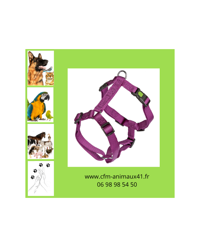 Harnais Miami violet 40 à 57 cm pour Chien CFM Animaux 41 à Conan