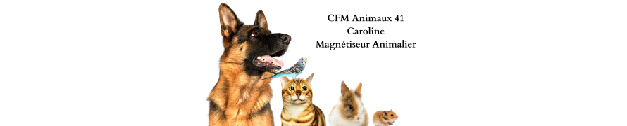 CFM Animaux 41 - Caroline, Magnétiseur et soins énergétiques pour animaux dans le Loir et Cher